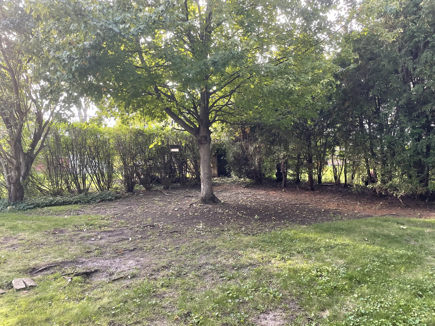 main property photo 19