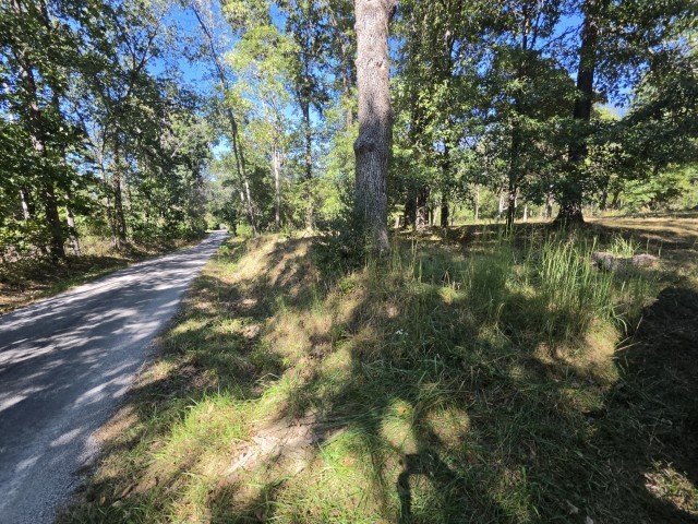 main property photo 0