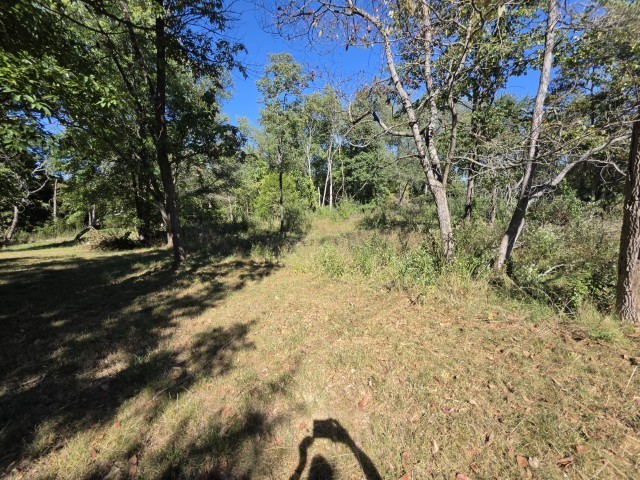 main property photo 9