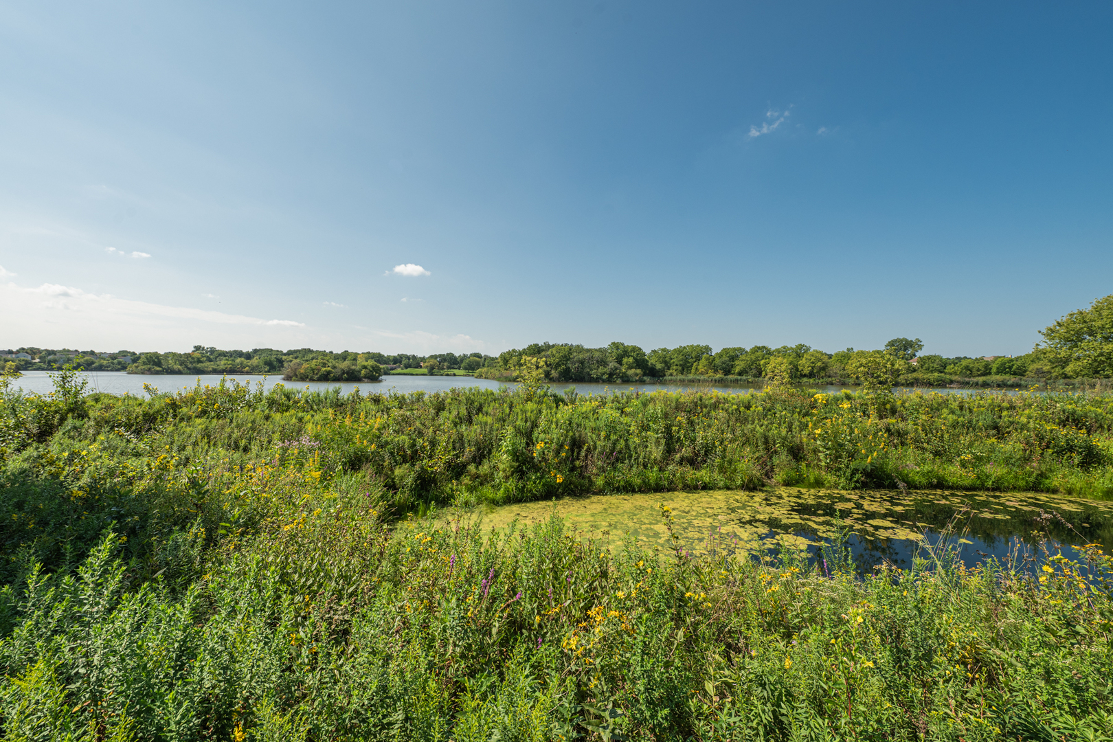 main property photo 66