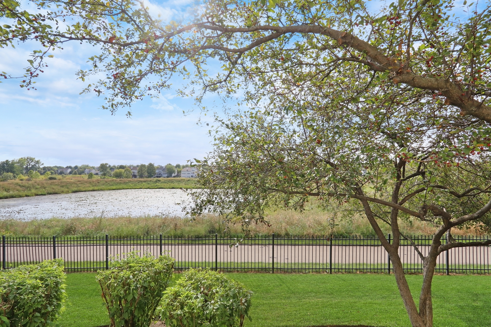 main property photo 4
