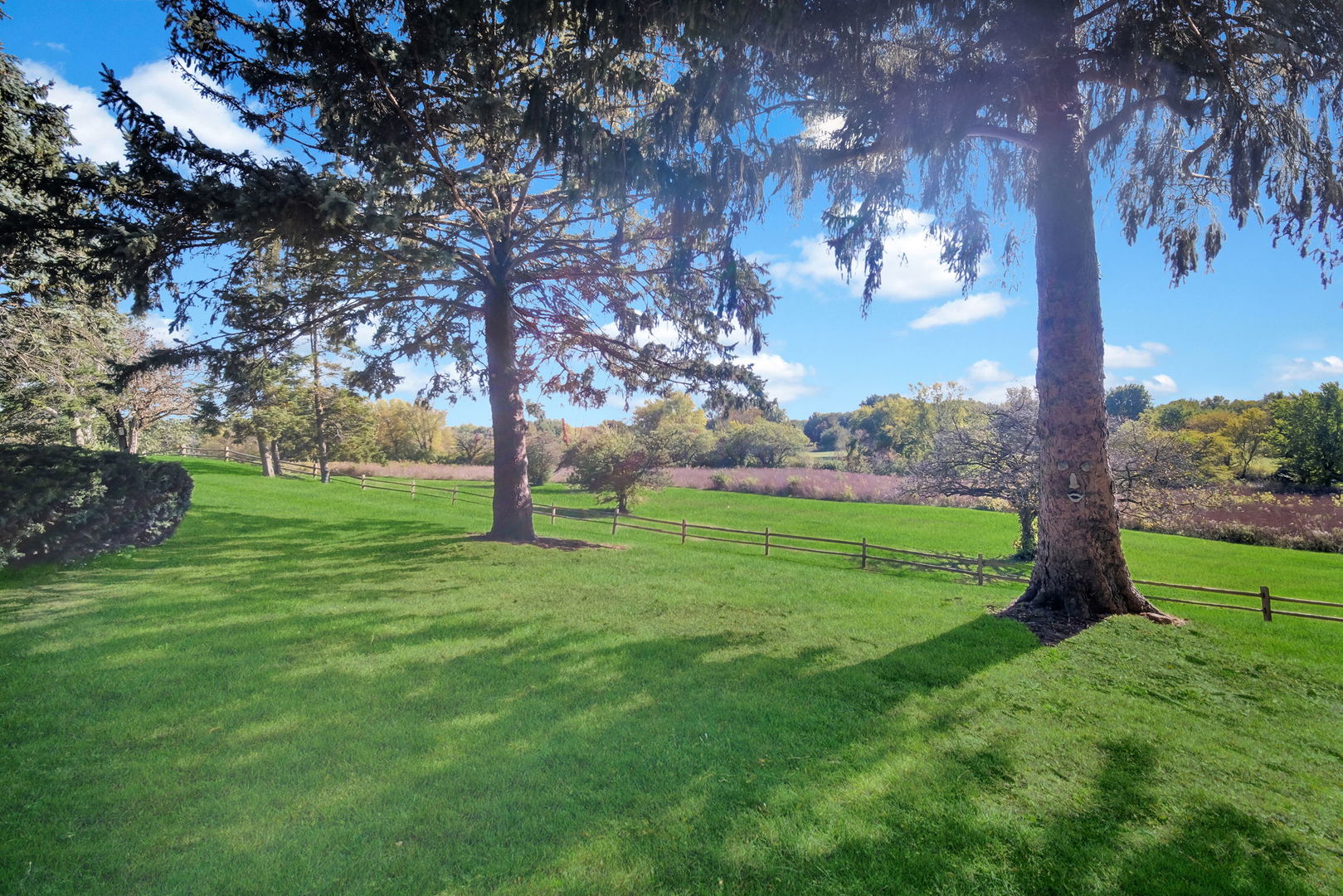 main property photo 56