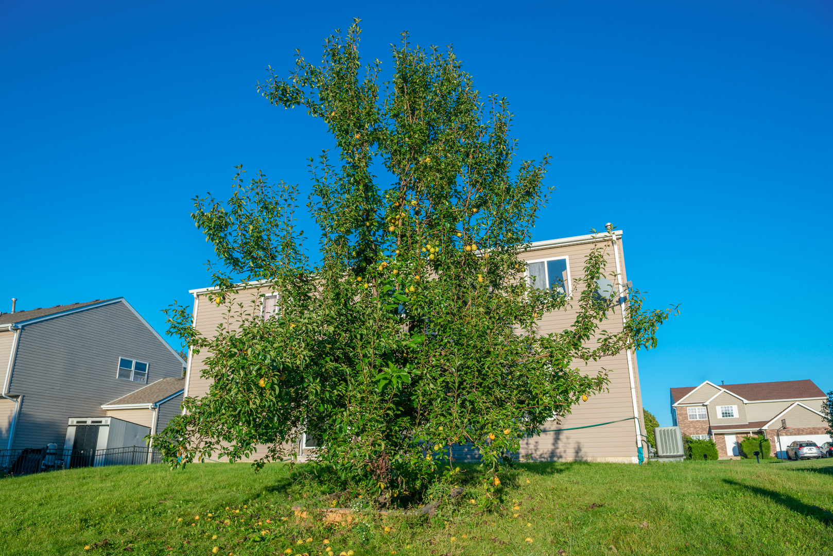 main property photo 28