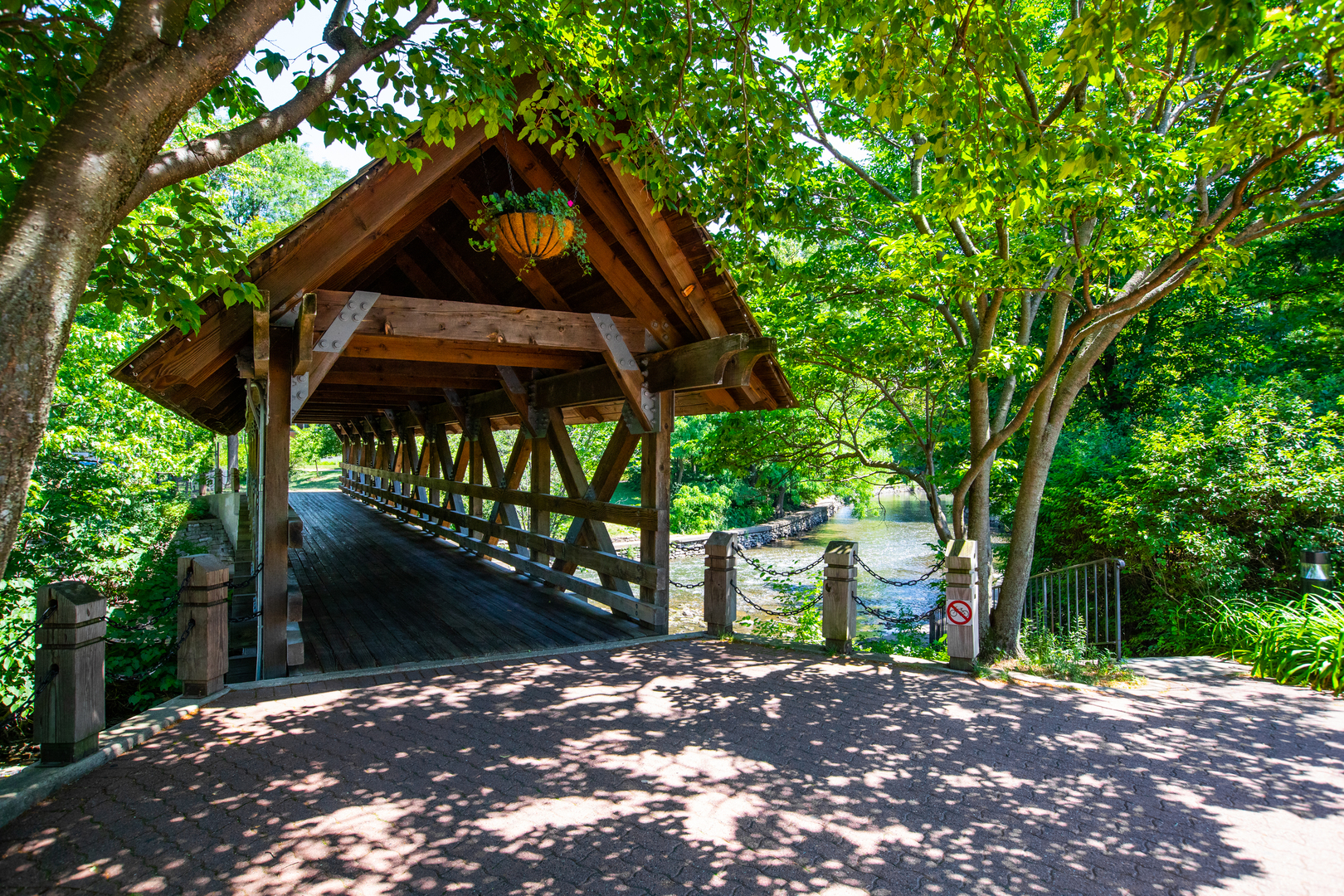main property photo 53