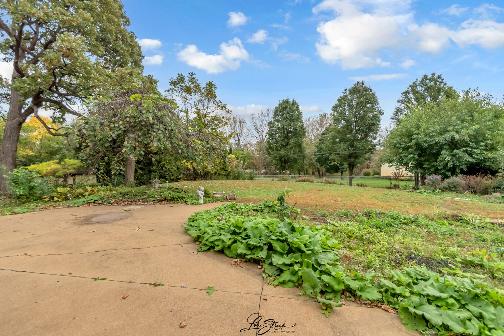 main property photo 33