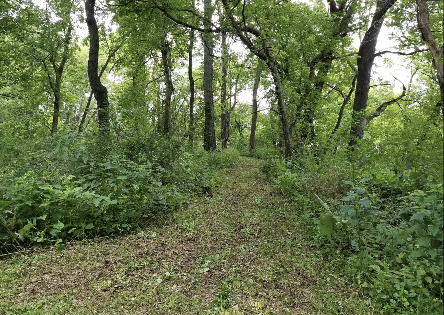 main property photo 5