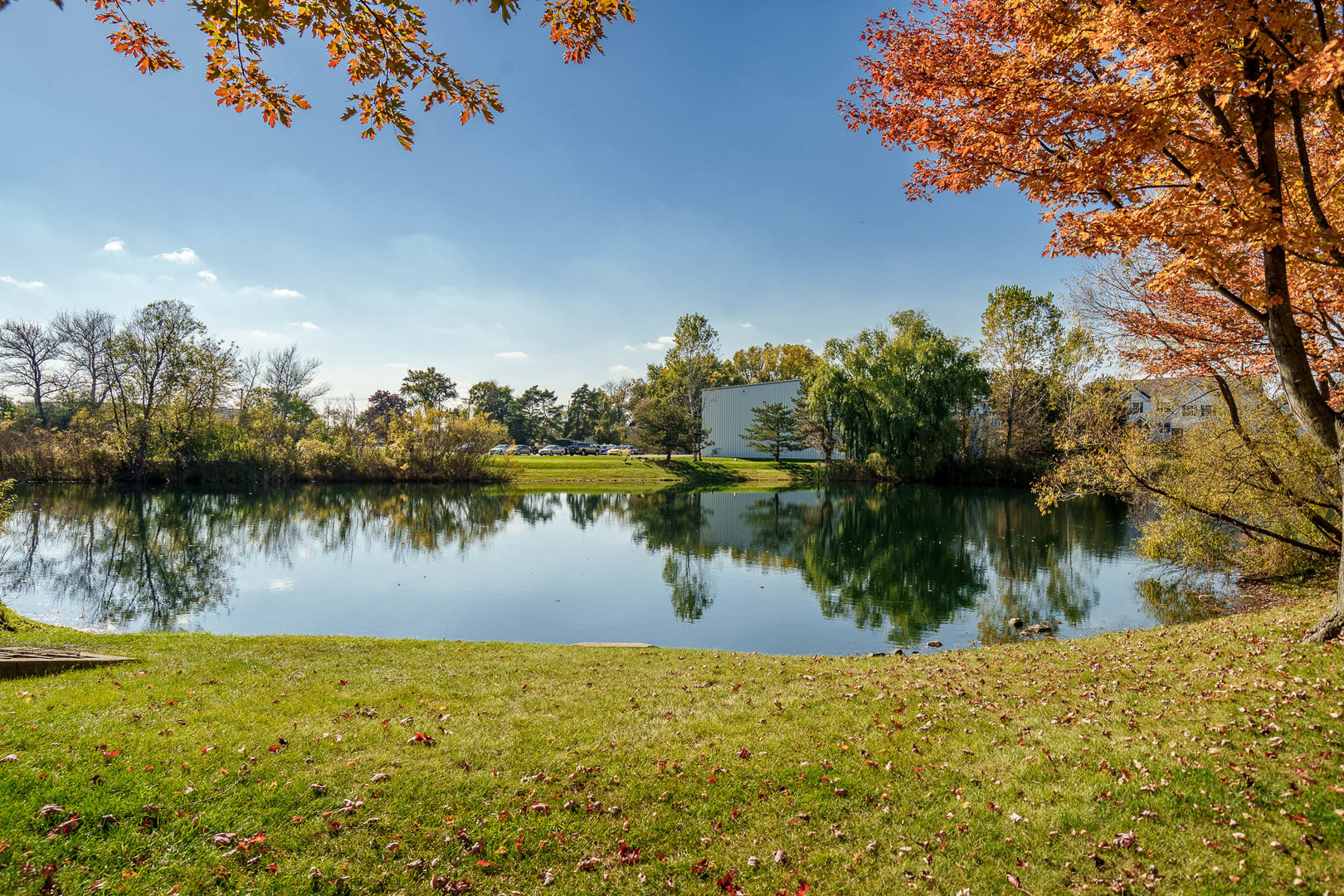 main property photo 28