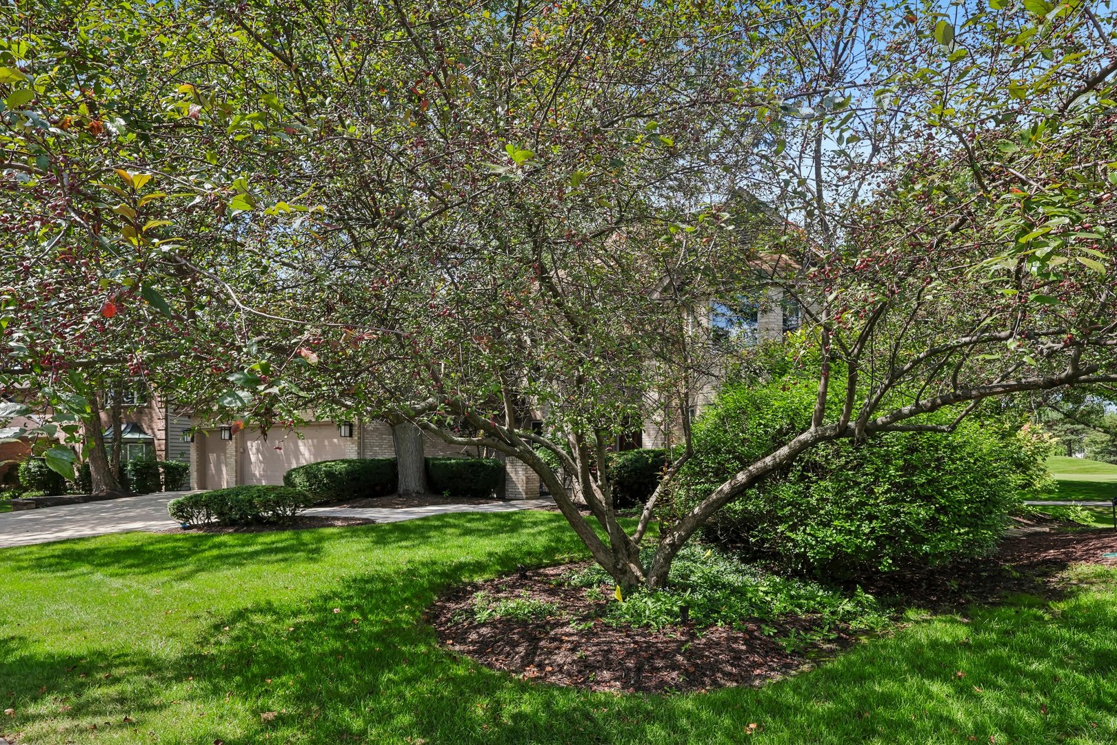 main property photo 60