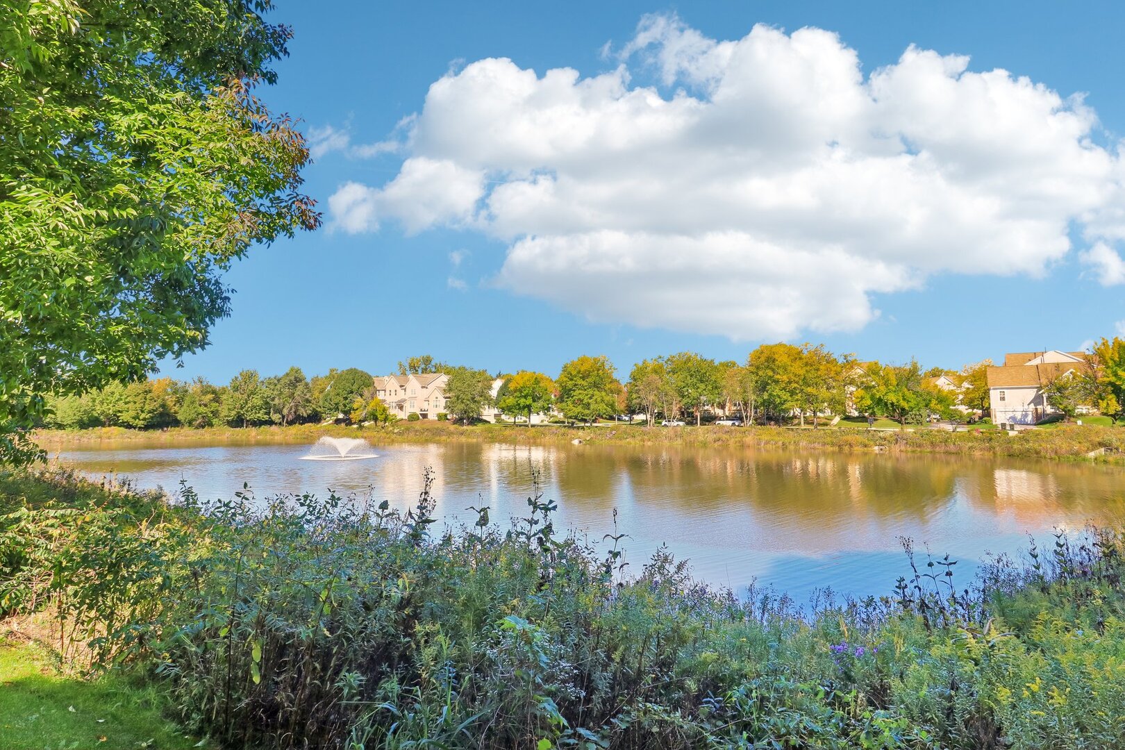 main property photo 51