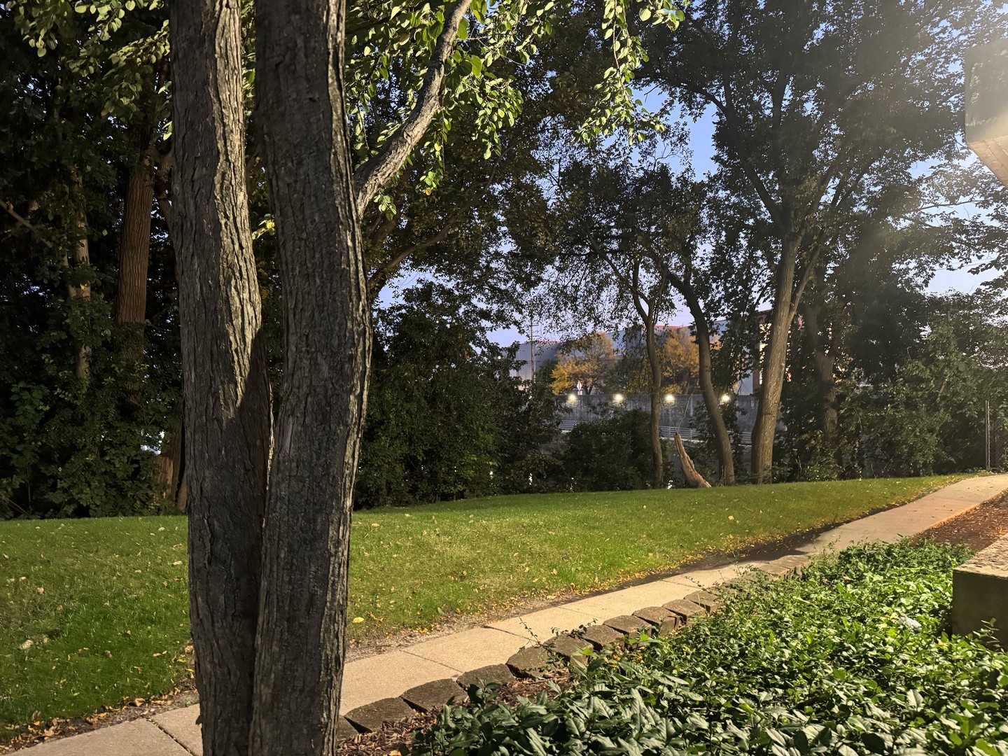 main property photo 54