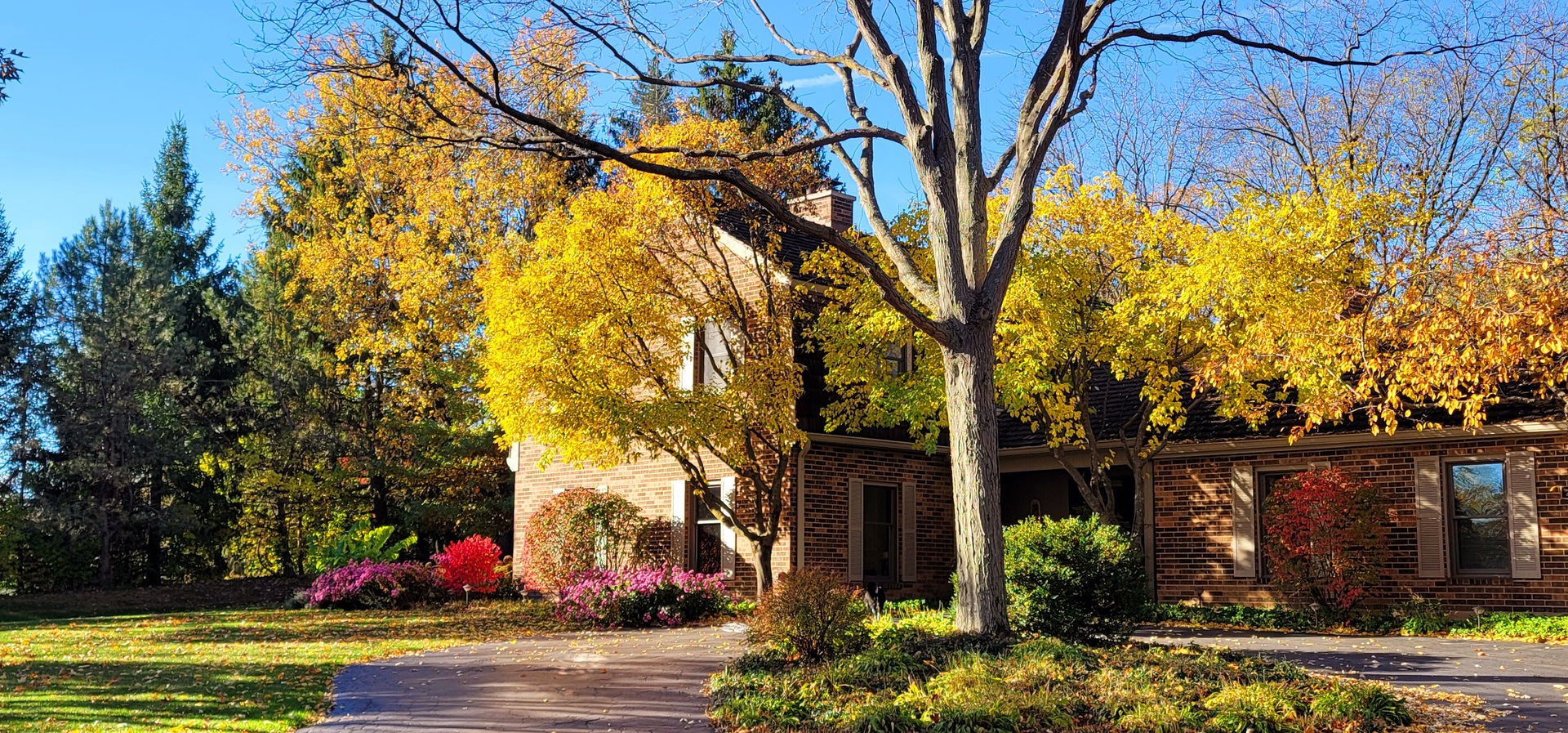 main property photo 44