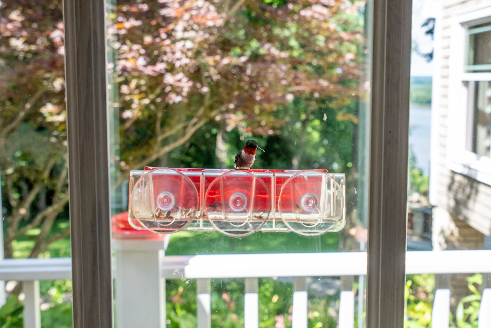 main property photo 57