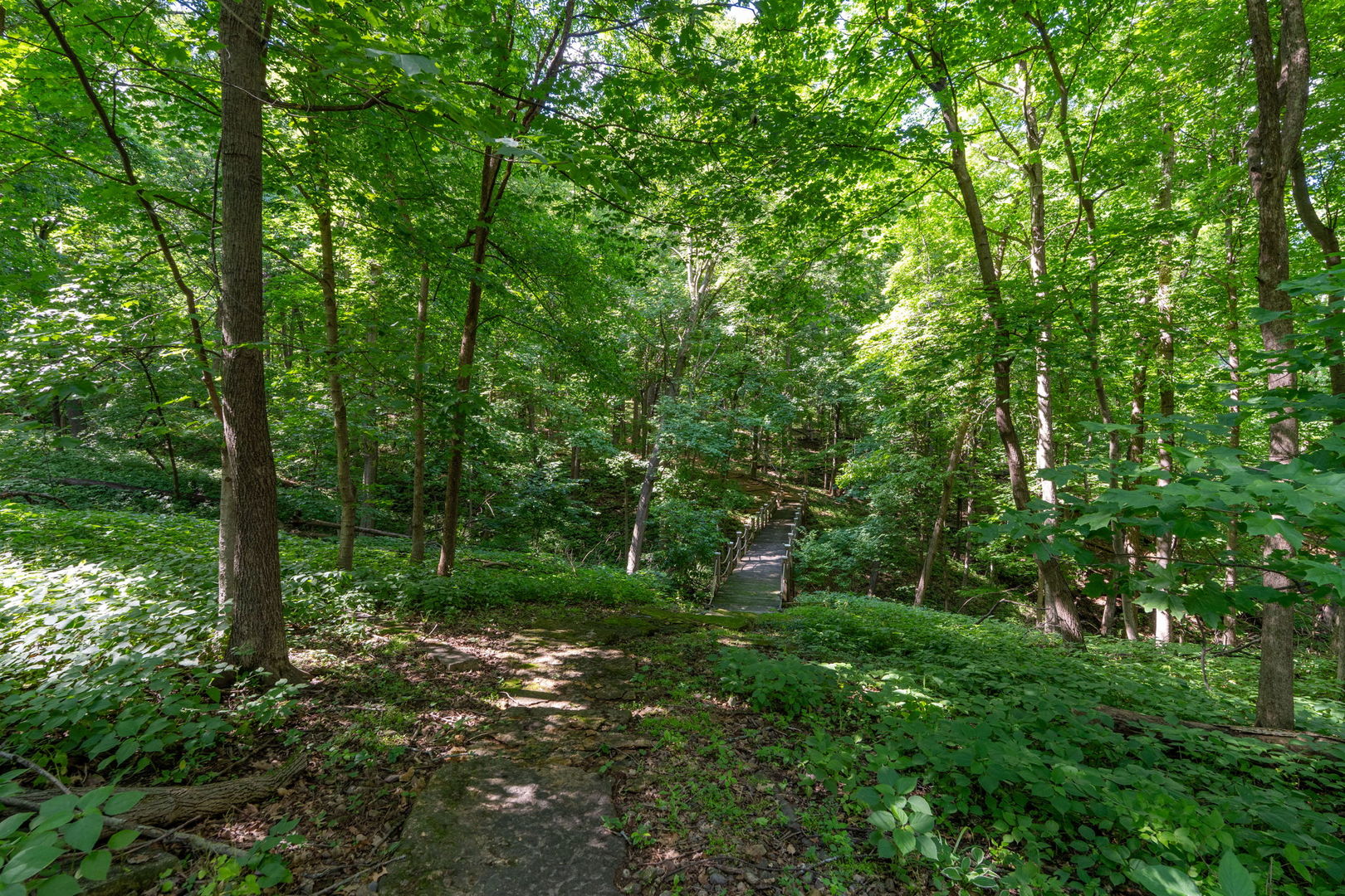 main property photo 97