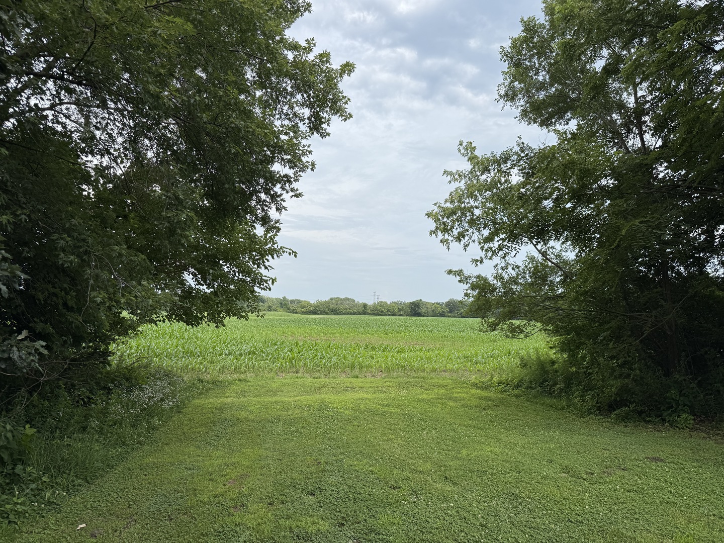 main property photo 25