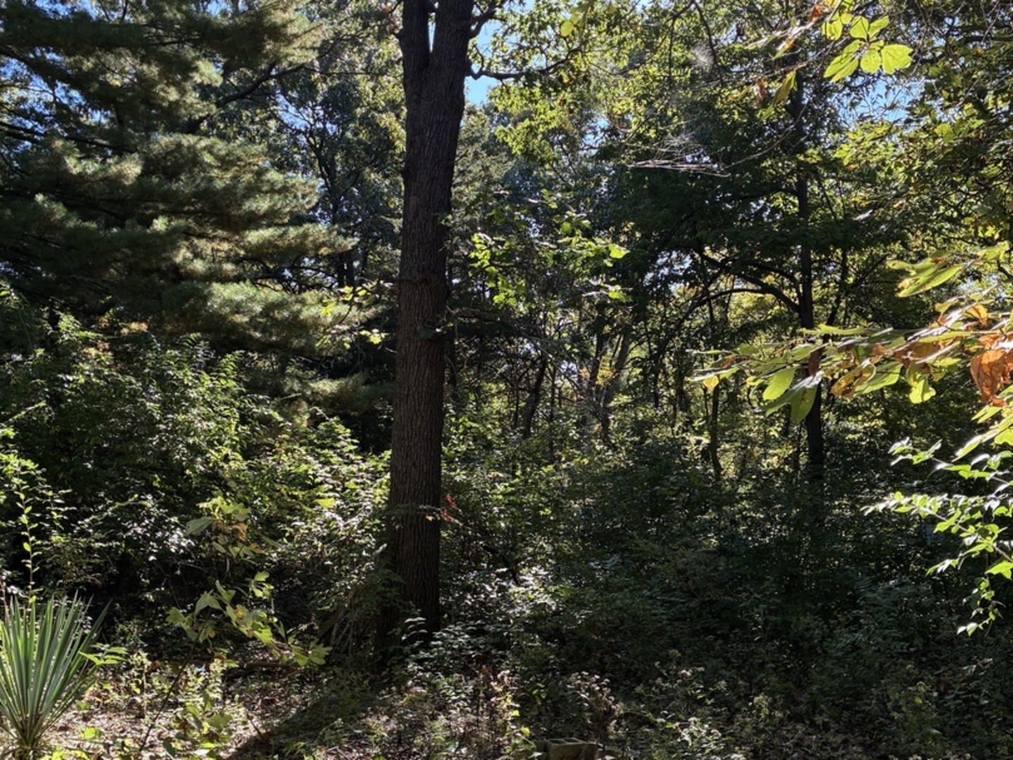 main property photo 15
