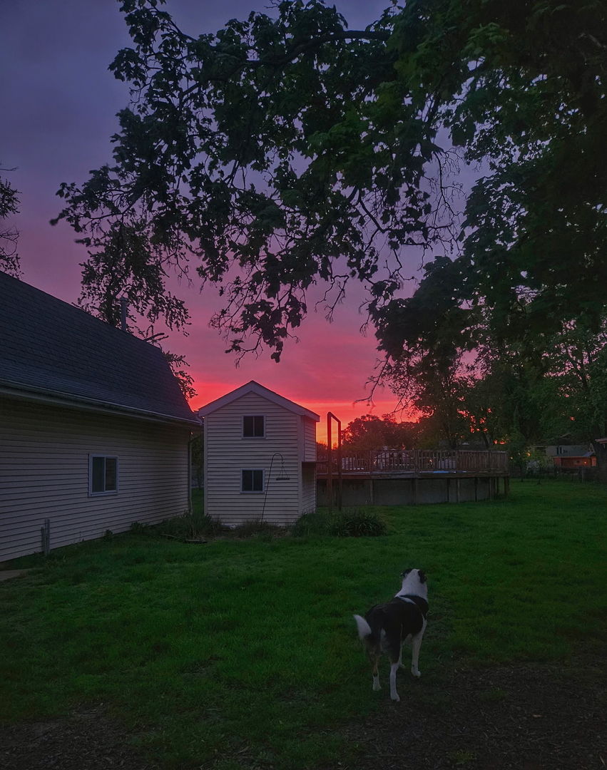 main property photo 41