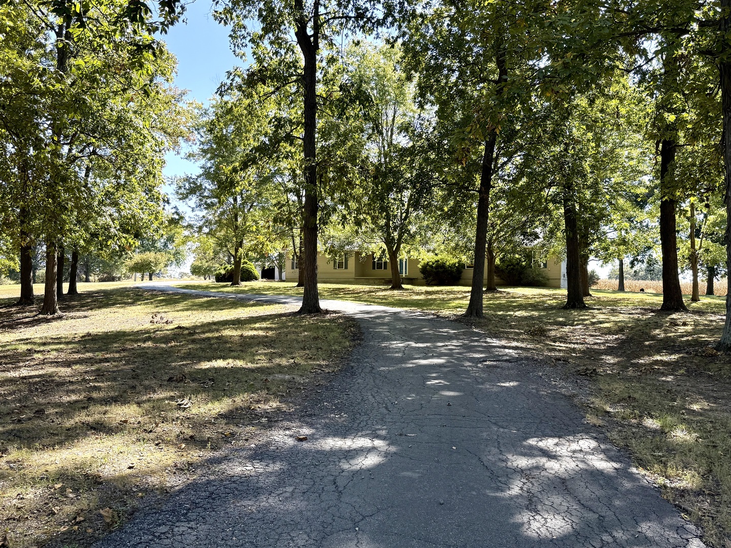 main property photo 39