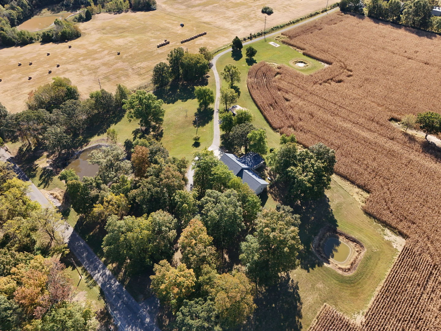 main property photo 42