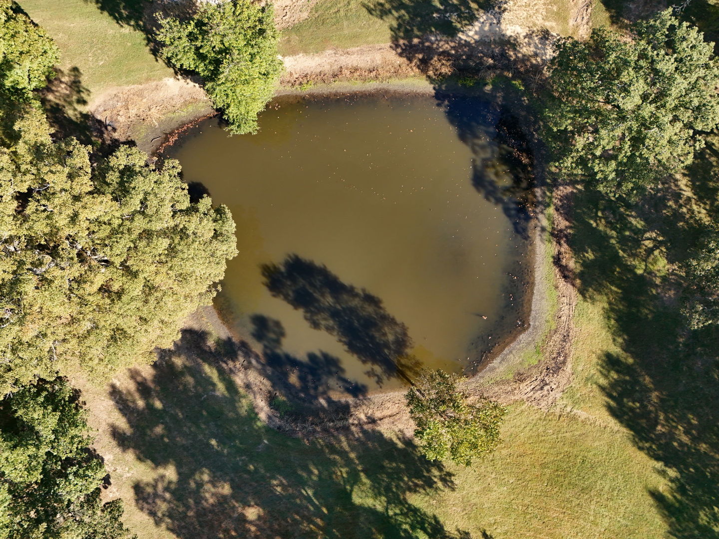 main property photo 43