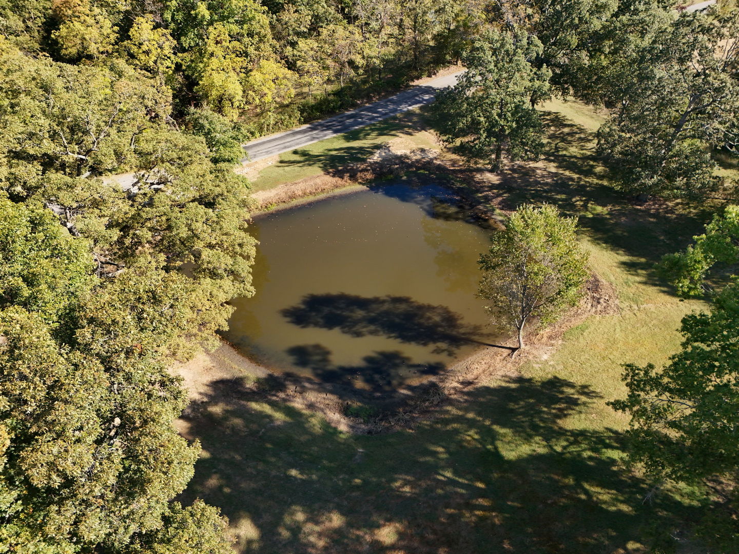 main property photo 44