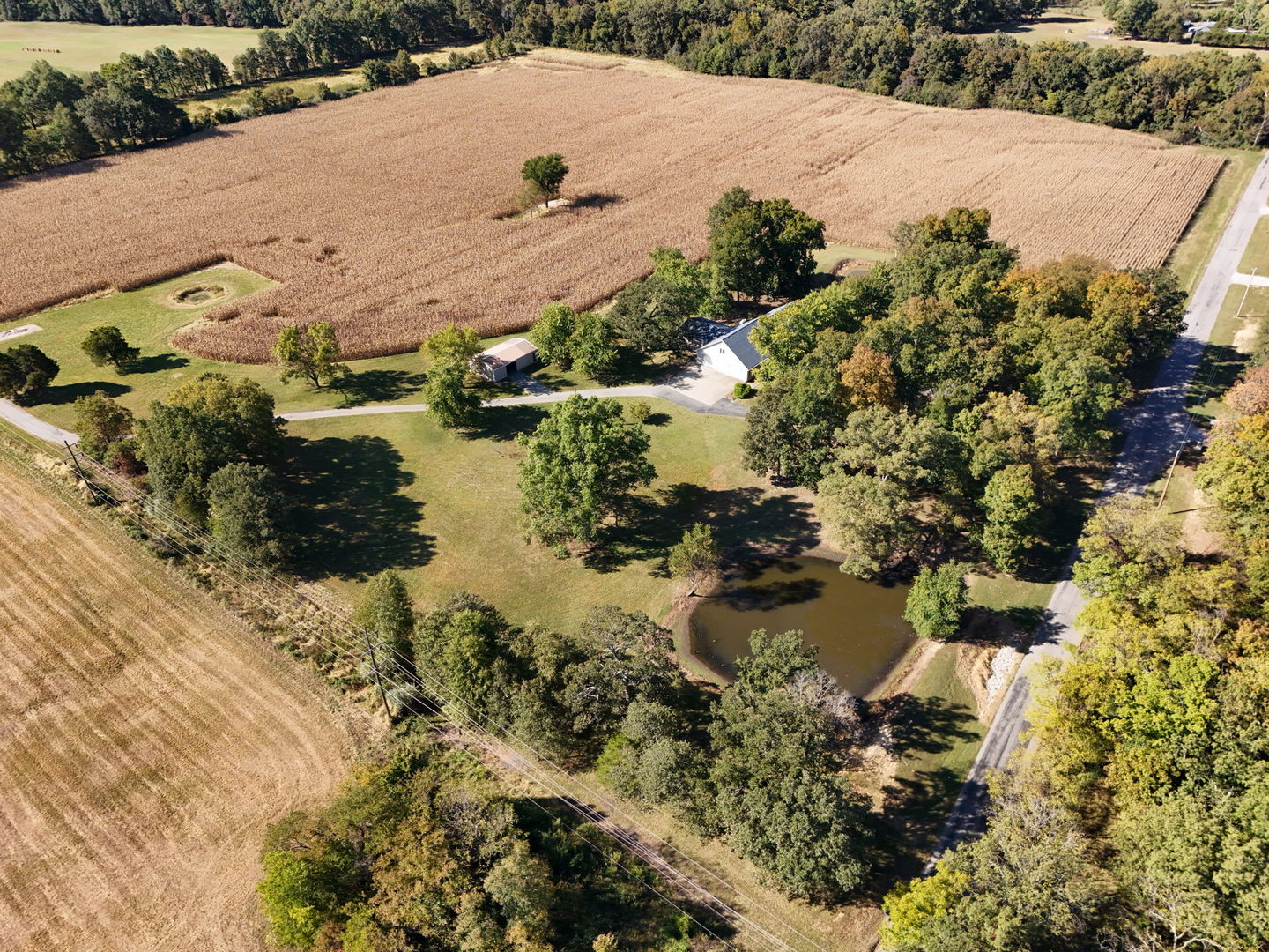 main property photo 50