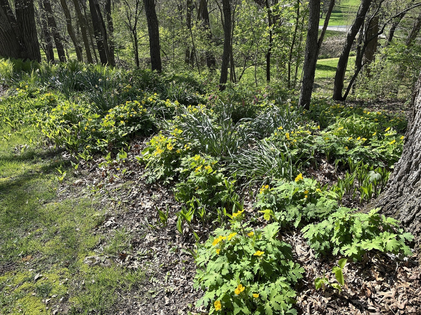 main property photo 42