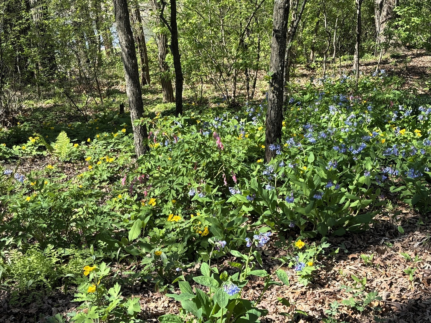 main property photo 50