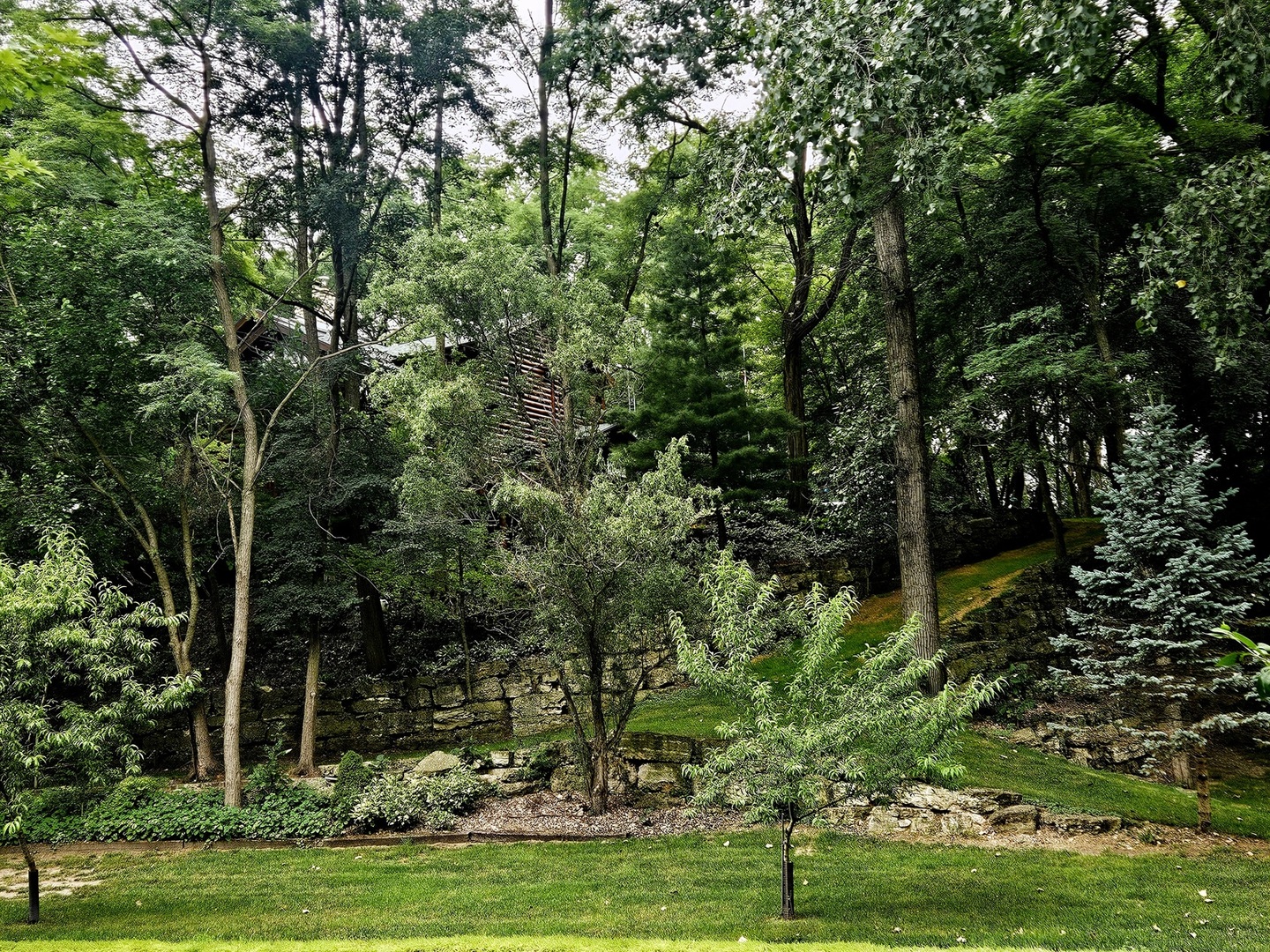 main property photo 55