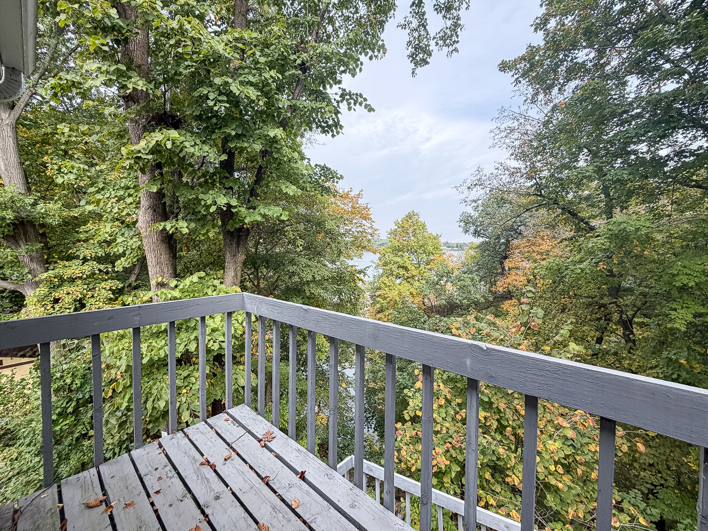 main property photo 62