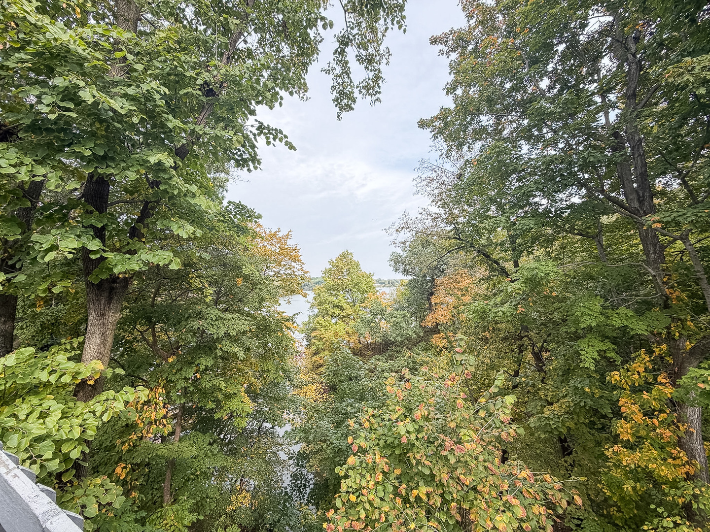 main property photo 65