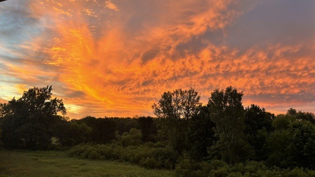 main property photo 66