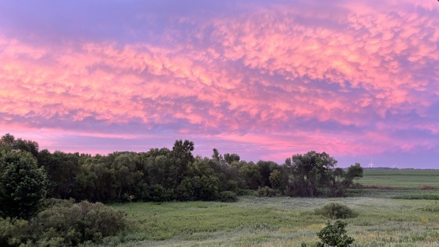 main property photo 67