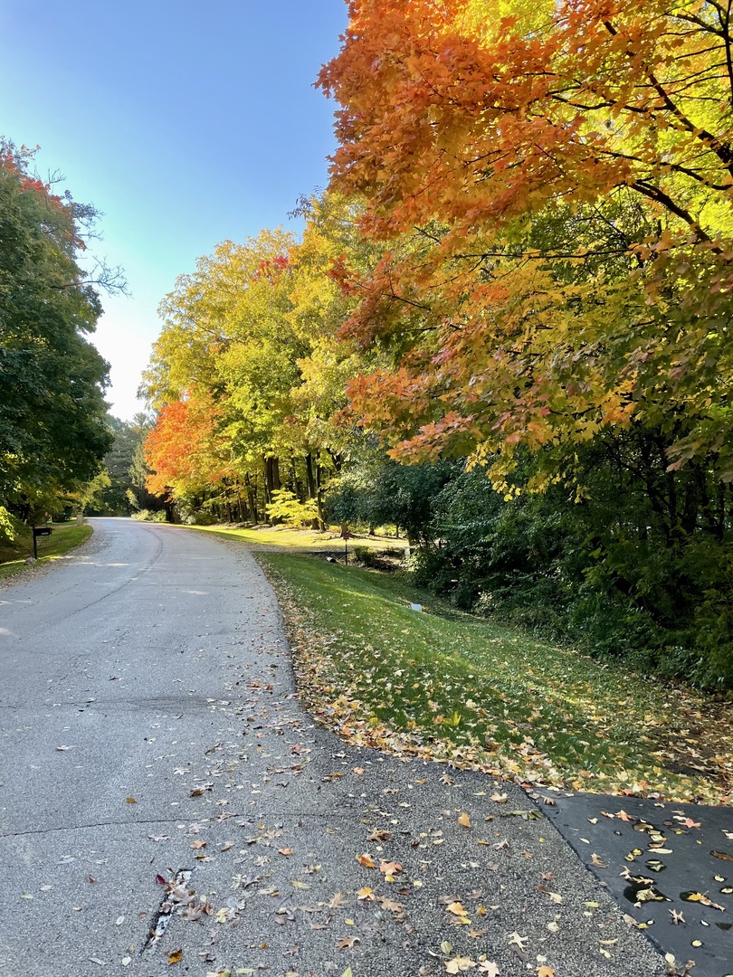 main property photo 32