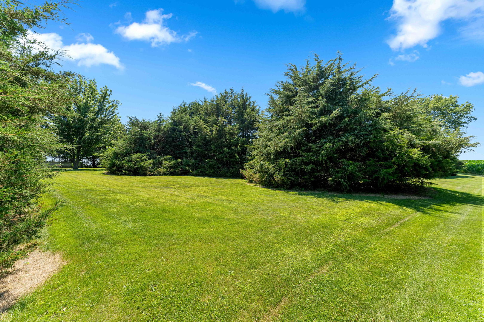 main property photo 58