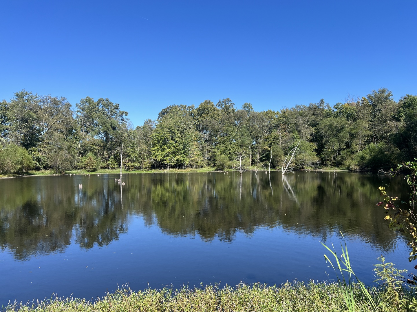 main property photo 60
