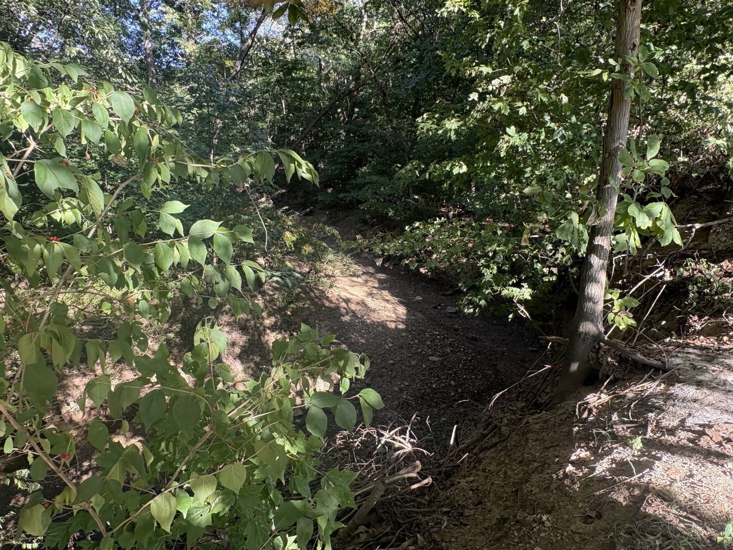 main property photo 47