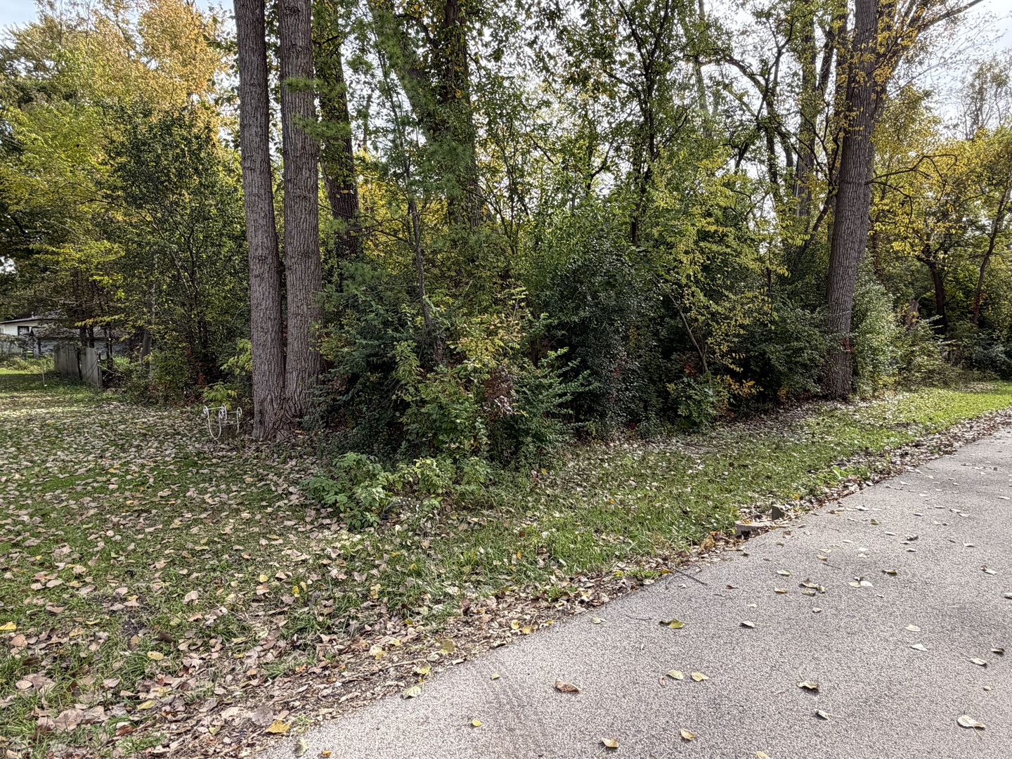 main property photo 0