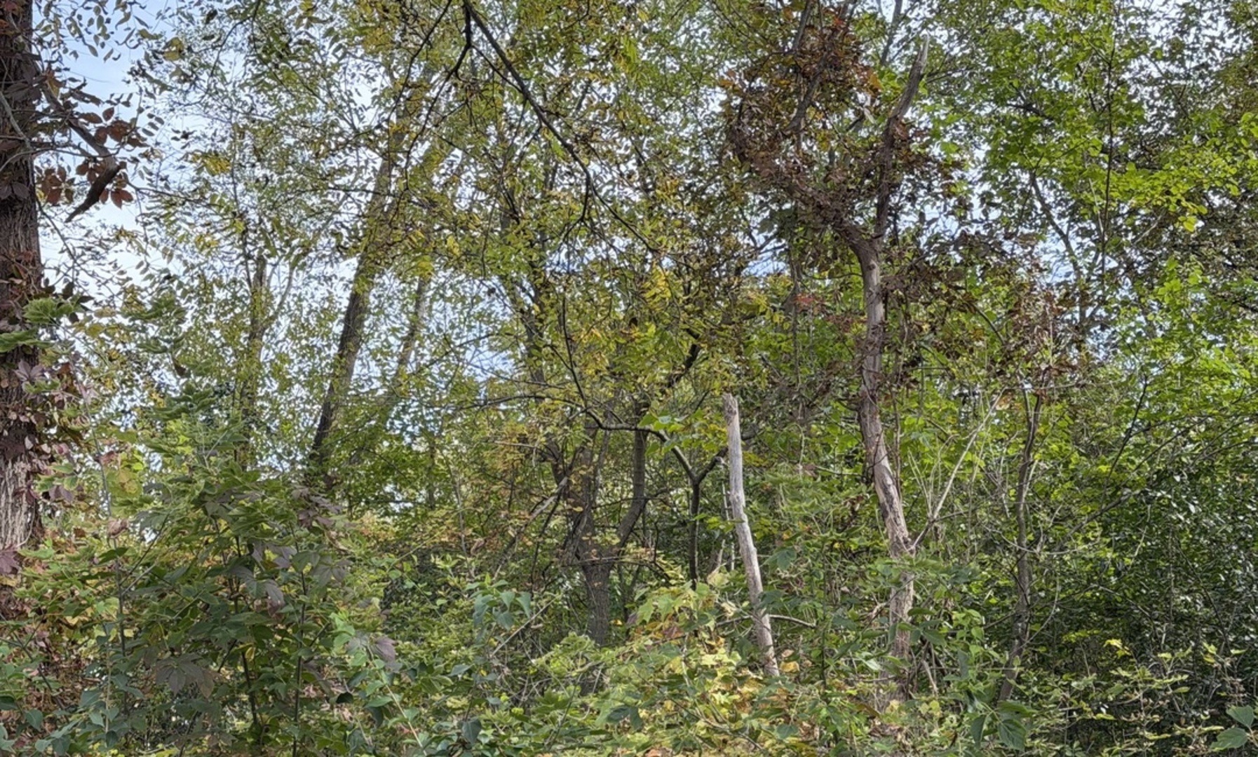 main property photo 16