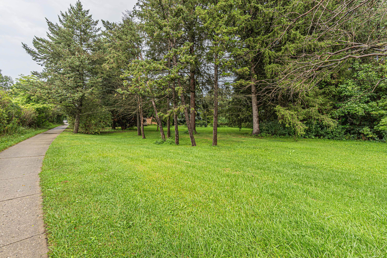 main property photo 33