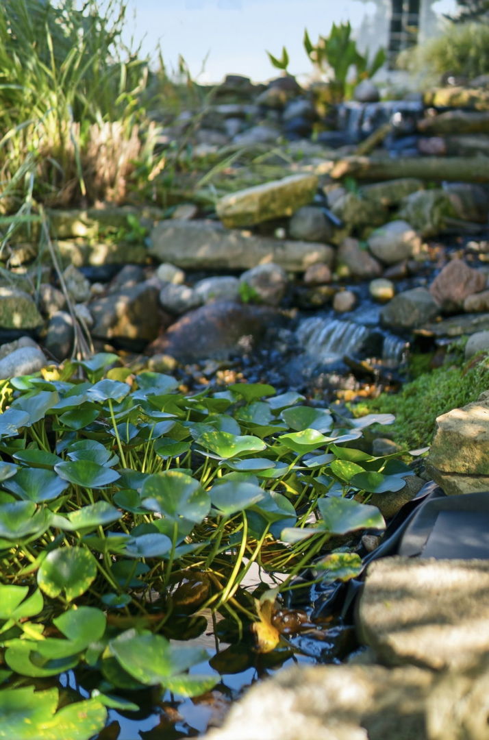 main property photo 49