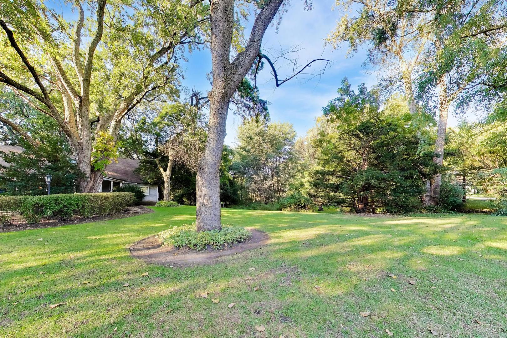 main property photo 32