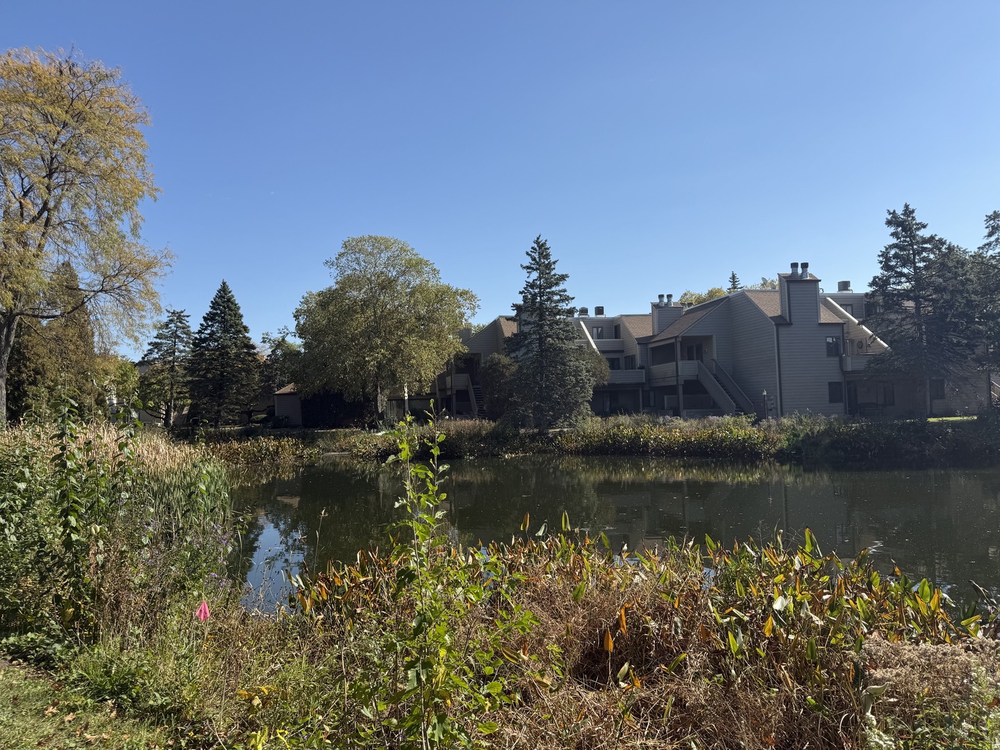 main property photo 22