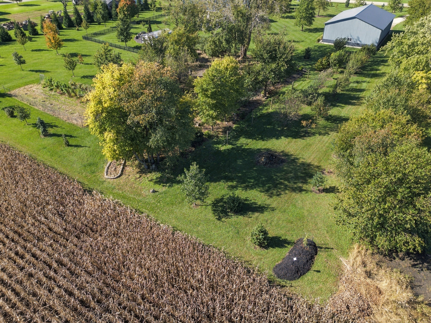main property photo 63