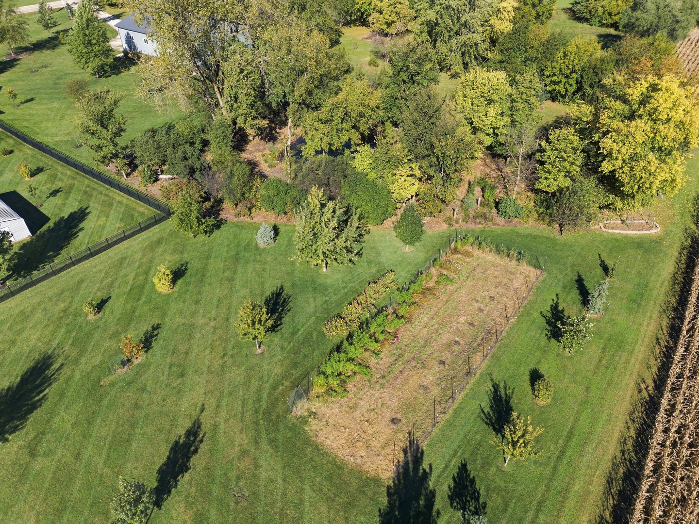 main property photo 67