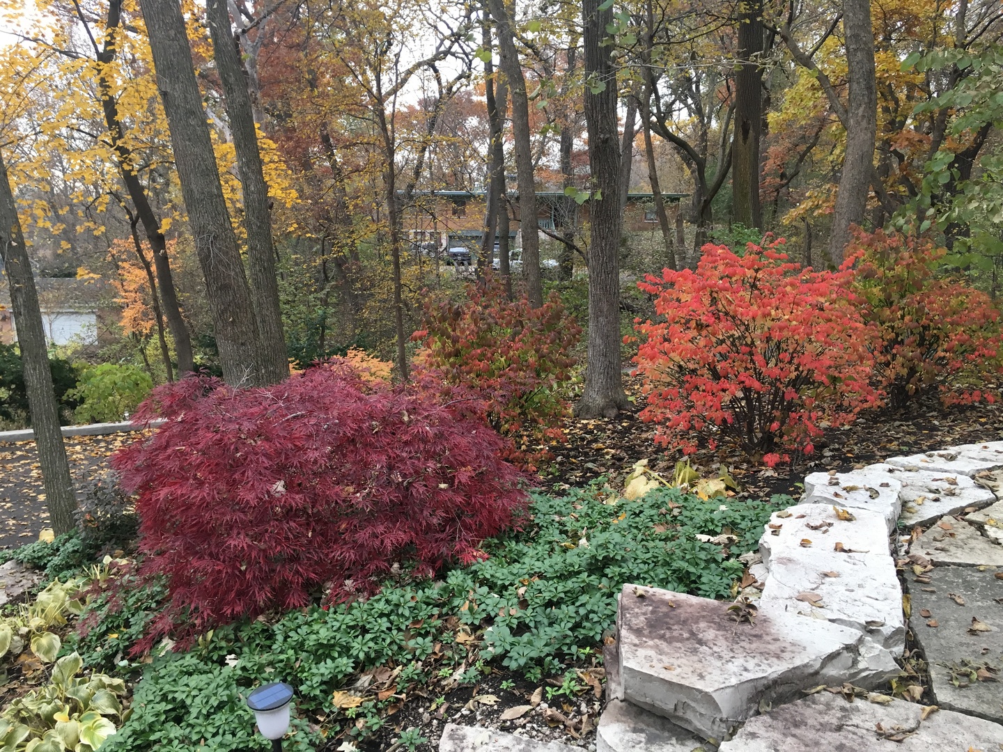 main property photo 33