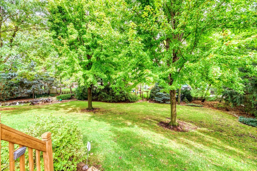 main property photo 47