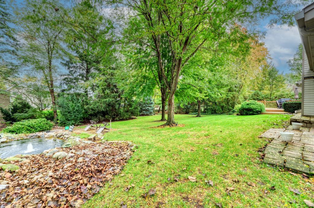 main property photo 48