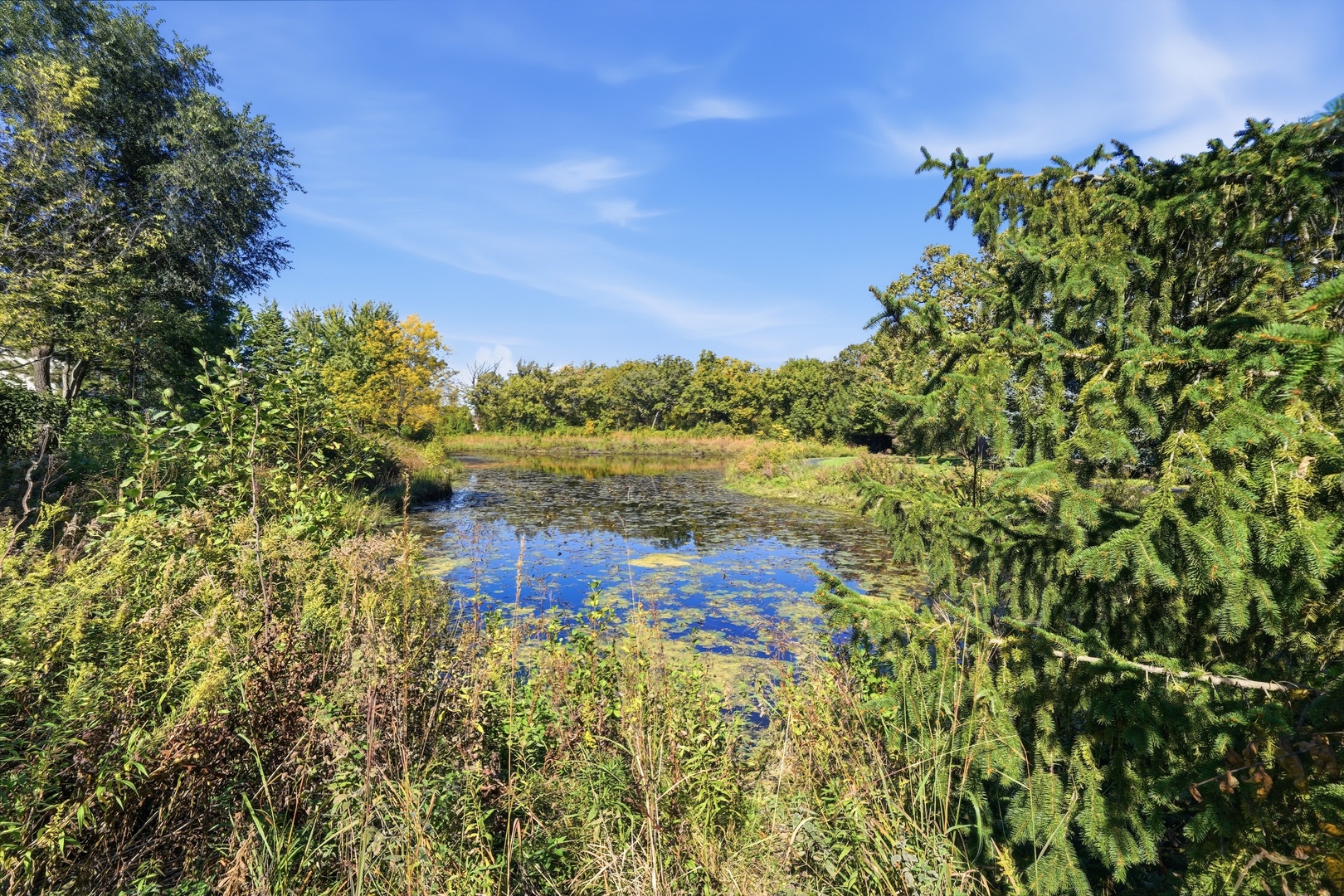 main property photo 39