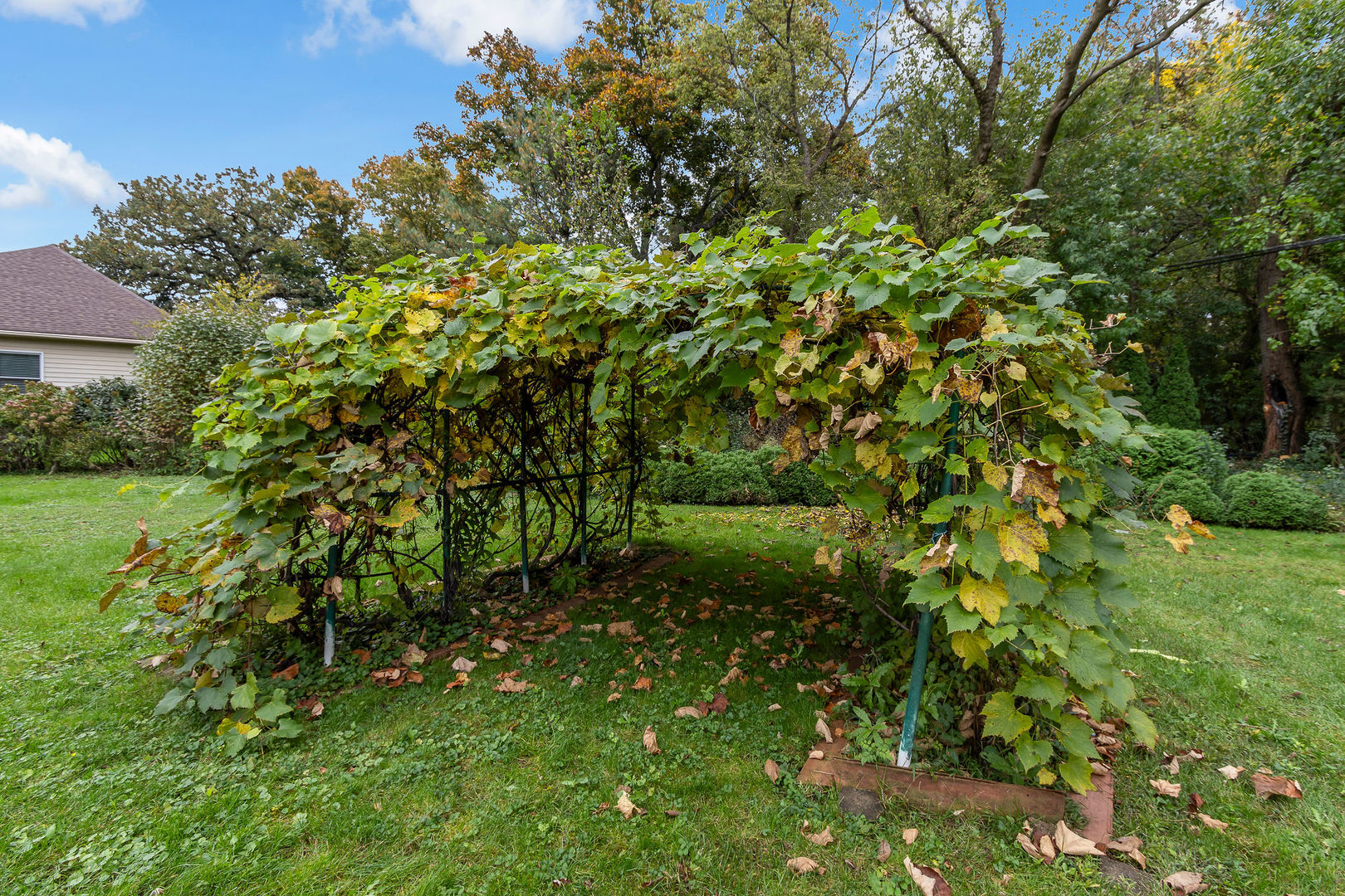 main property photo 57