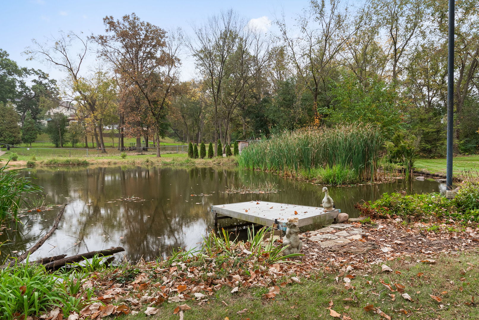main property photo 26